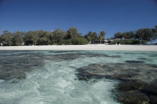 Lady Elliot Island