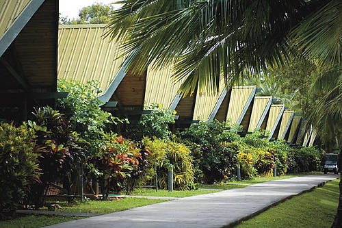 Hamilton Island Palm Bungalows